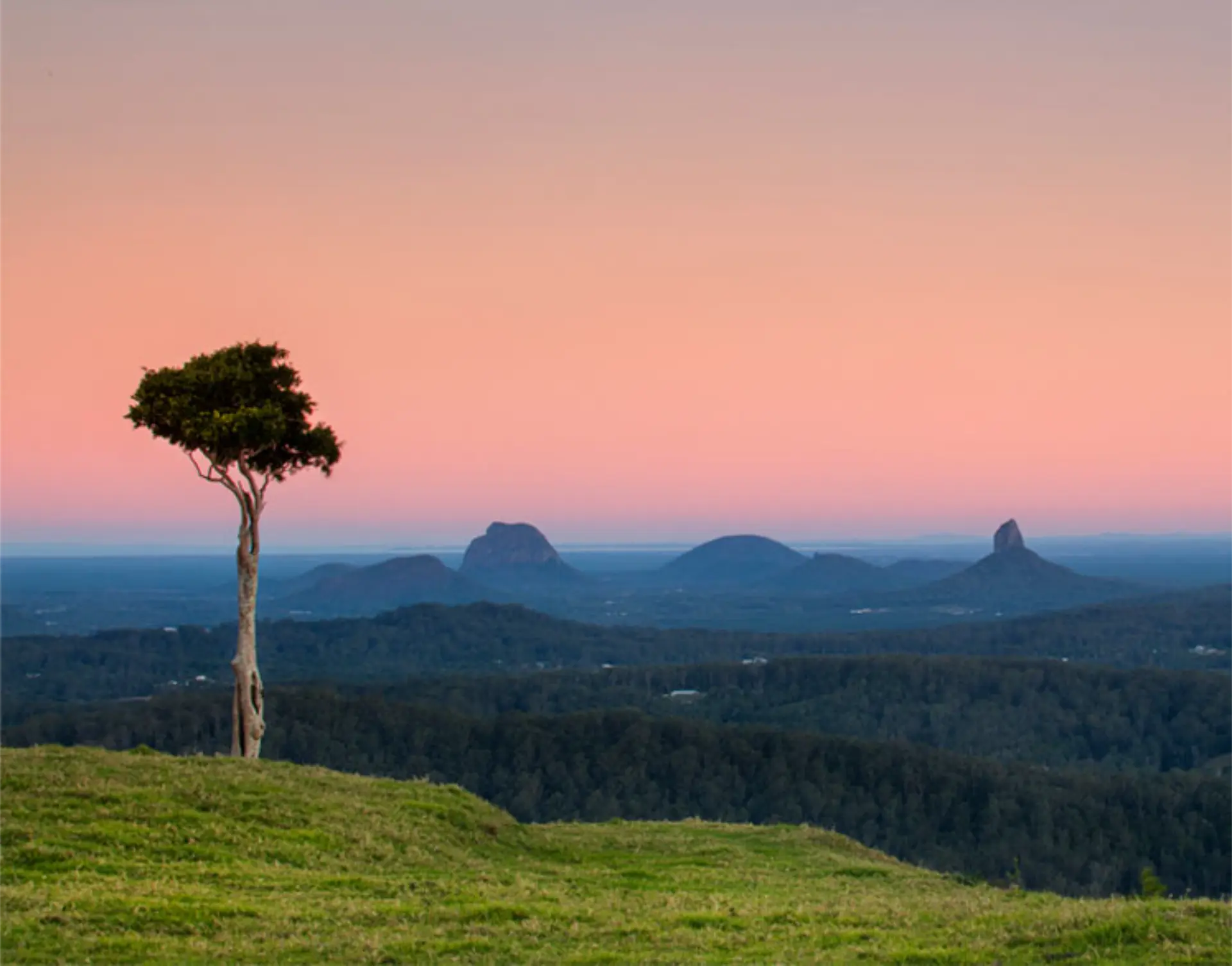 One Tree Hill Sunshine Coast